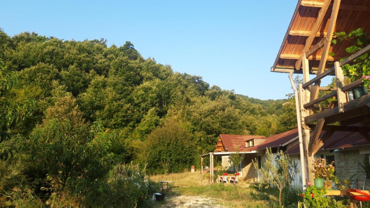 Ferma Albanik Hotel Këlcyra Kültér fotó