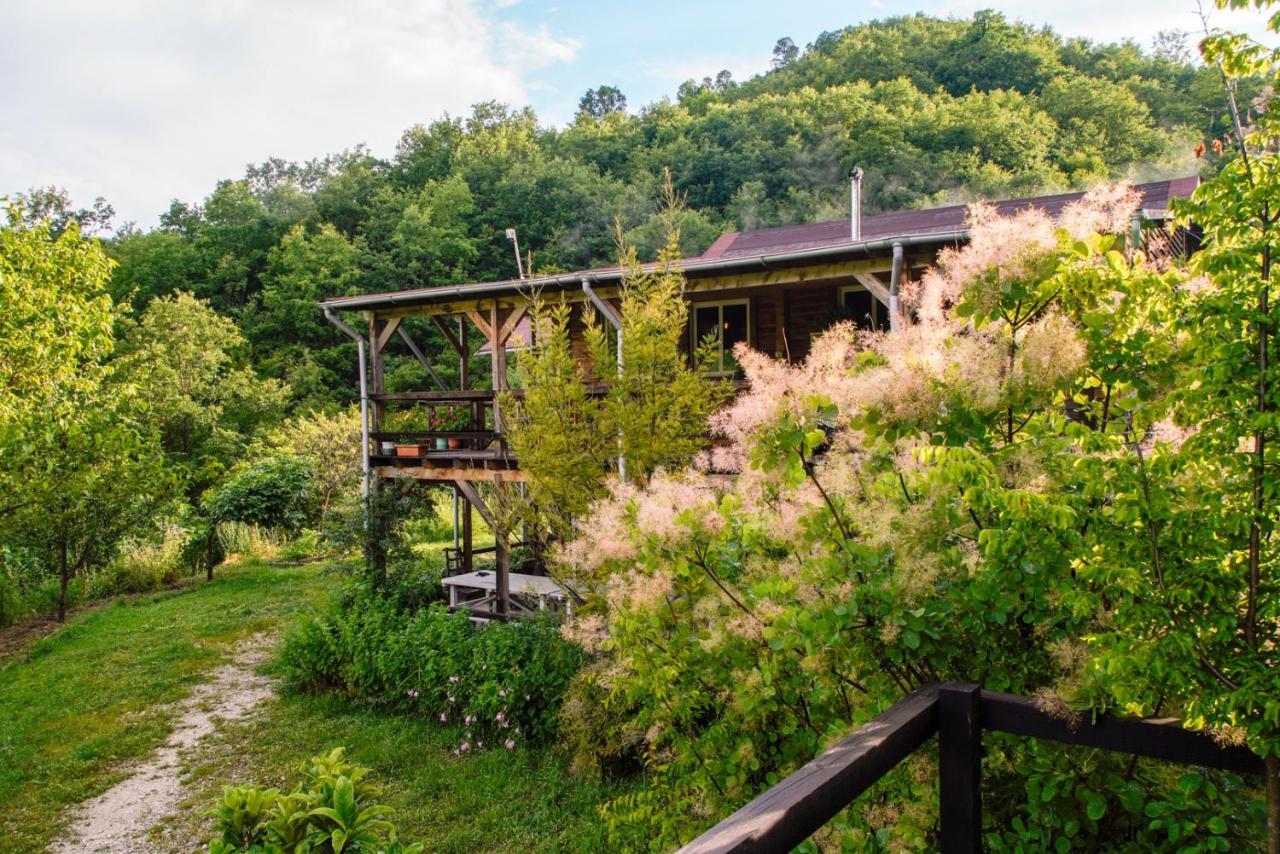 Ferma Albanik Hotel Këlcyra Kültér fotó